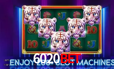Live Casino 6020bet